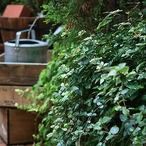 Hotel Garden Kyōto